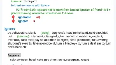 Reverso Translation Dictionary скриншот 21