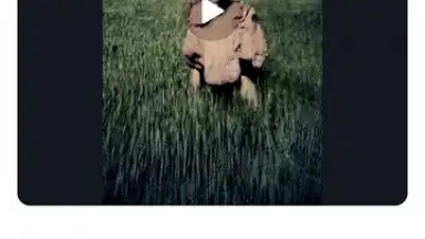 Alight Motion скриншот 4