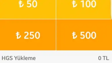 HGS скриншот 1