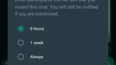 WhatsApp Messenger скриншот 11