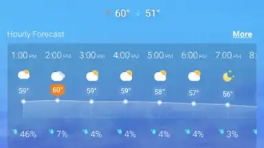 Local Weather Widget скриншот 1