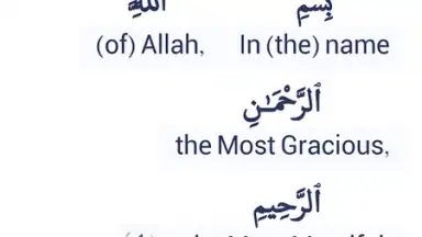 Halal Check скриншот 3