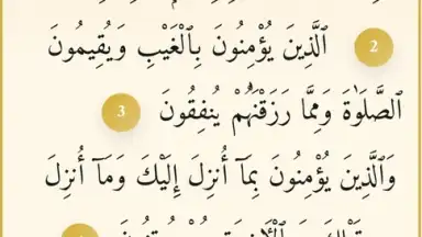 Noor Islam скриншот 5