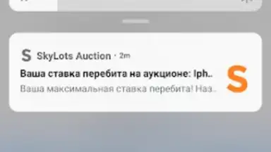 SkyLots: аукцион и маркетплейс скриншот 1