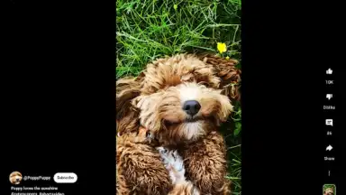 YouTube (Android Auto) скриншот 1