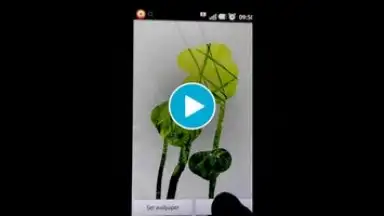 STEAMY живые обои скриншот 1