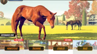 Rival Stars Horse Racing скриншот 4