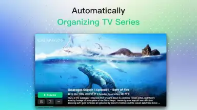 VidHub скриншот 10