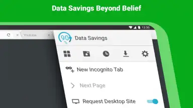 Puffin Browser Pro скриншот 8