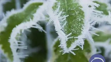 MiWallpaper скриншот 3