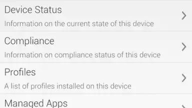 AirWatch Agent скриншот 16