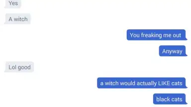 Chatous скриншот 2