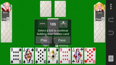 Collection of card games скриншот 5