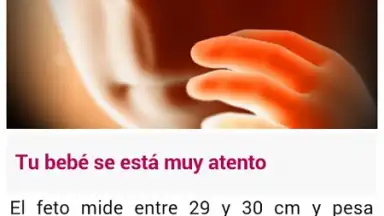 Semanas Embarazo скриншот 6