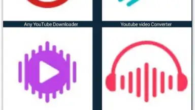 Any Video Downloader скриншот 1