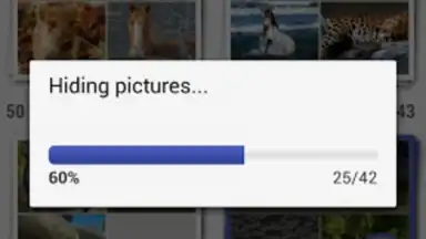 Gallery Plus - Hide Pictures скриншот 1