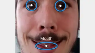 FaceSwap скриншот 3