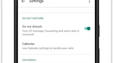 Google Voice скриншот 1