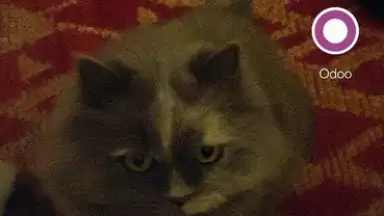 Transparent Screen & Live Wallpaper скриншот 4