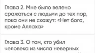 САХИХ МУСЛИМ скриншот 4