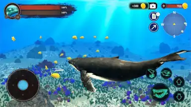 The Humpback Whales скриншот 15