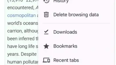 Chrome Beta скриншот 1