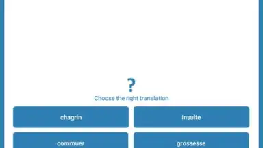 Reverso Translation Dictionary скриншот 18