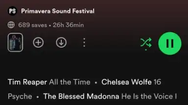 Spotify скриншот 29