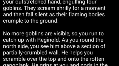 Medieval Fantasy RPG скриншот 5