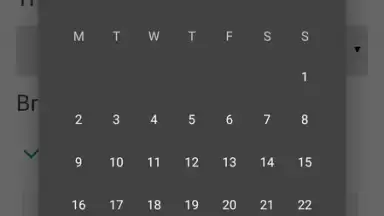 RetroBrowser скриншот 4