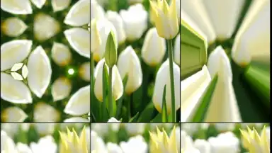 Mega Photo скриншот 8