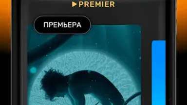 PREMIER скриншот 13