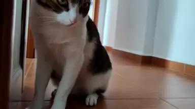 PicsArt скриншот 22