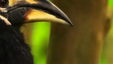 OGYouTube скриншот 8