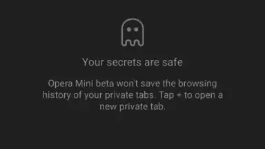 Opera Mini beta скриншот 5