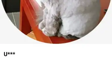 Rela скриншот 3