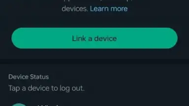 WhatsApp Messenger скриншот 31