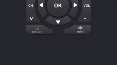 Remote Control for TV скриншот 1
