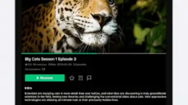 VidHub скриншот 16