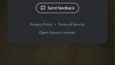 Camera Go скриншот 2