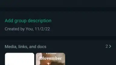 WhatsApp Messenger скриншот 15