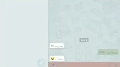 THE MESSENGER скриншот 3