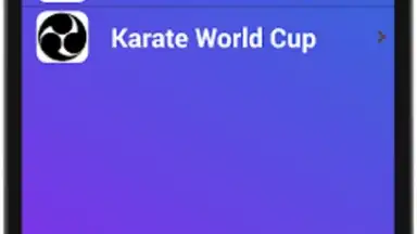 Karate Training скриншот 4