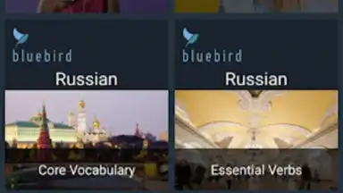 Bluebird Russian скриншот 8