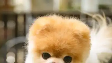 Boo Weather скриншот 1