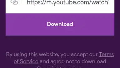 YouTube Video Downloader скриншот 1