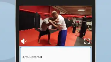 Ultimate MMA Fighting Program скриншот 4