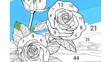 Zen Color скриншот 14