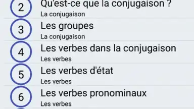 Le Conjugueur скриншот 2