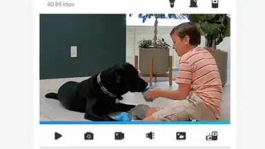 Reolink скриншот 4